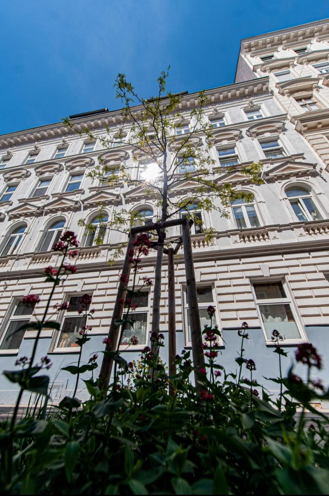 Vienna My City Apartment 2Bedroom Zewnętrze zdjęcie